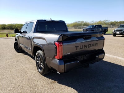 2025 Toyota Tundra 4WD Platinum