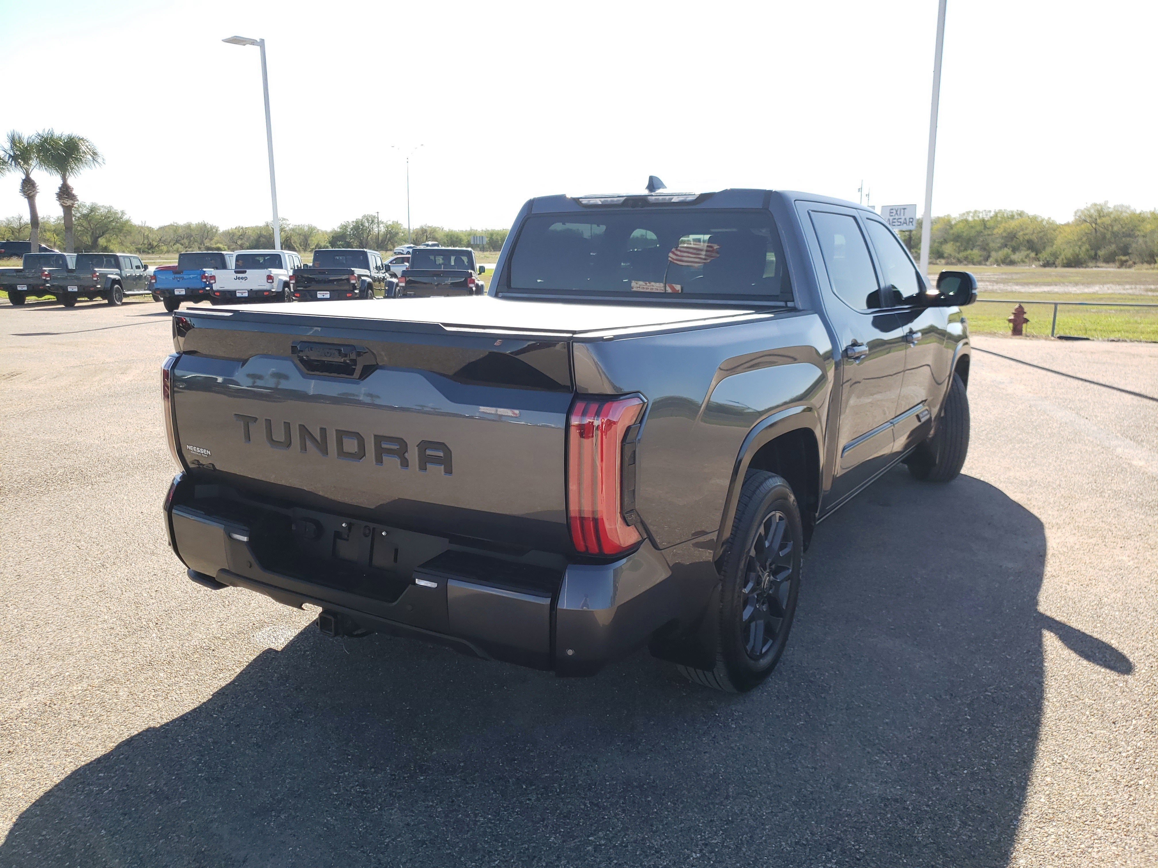 2025 Toyota Tundra 4WD Platinum