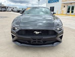 2023 Ford Mustang EcoBoost
