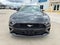 2023 Ford Mustang EcoBoost