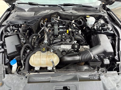 2023 Ford Mustang EcoBoost