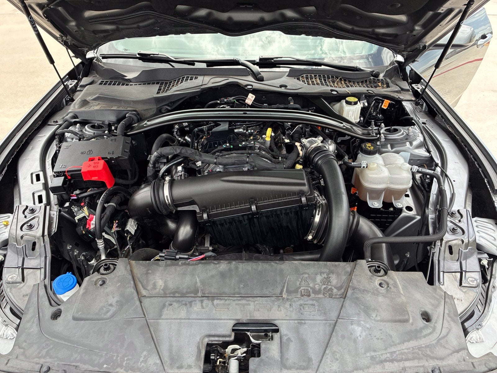 2025 Ford Mustang EcoBoost