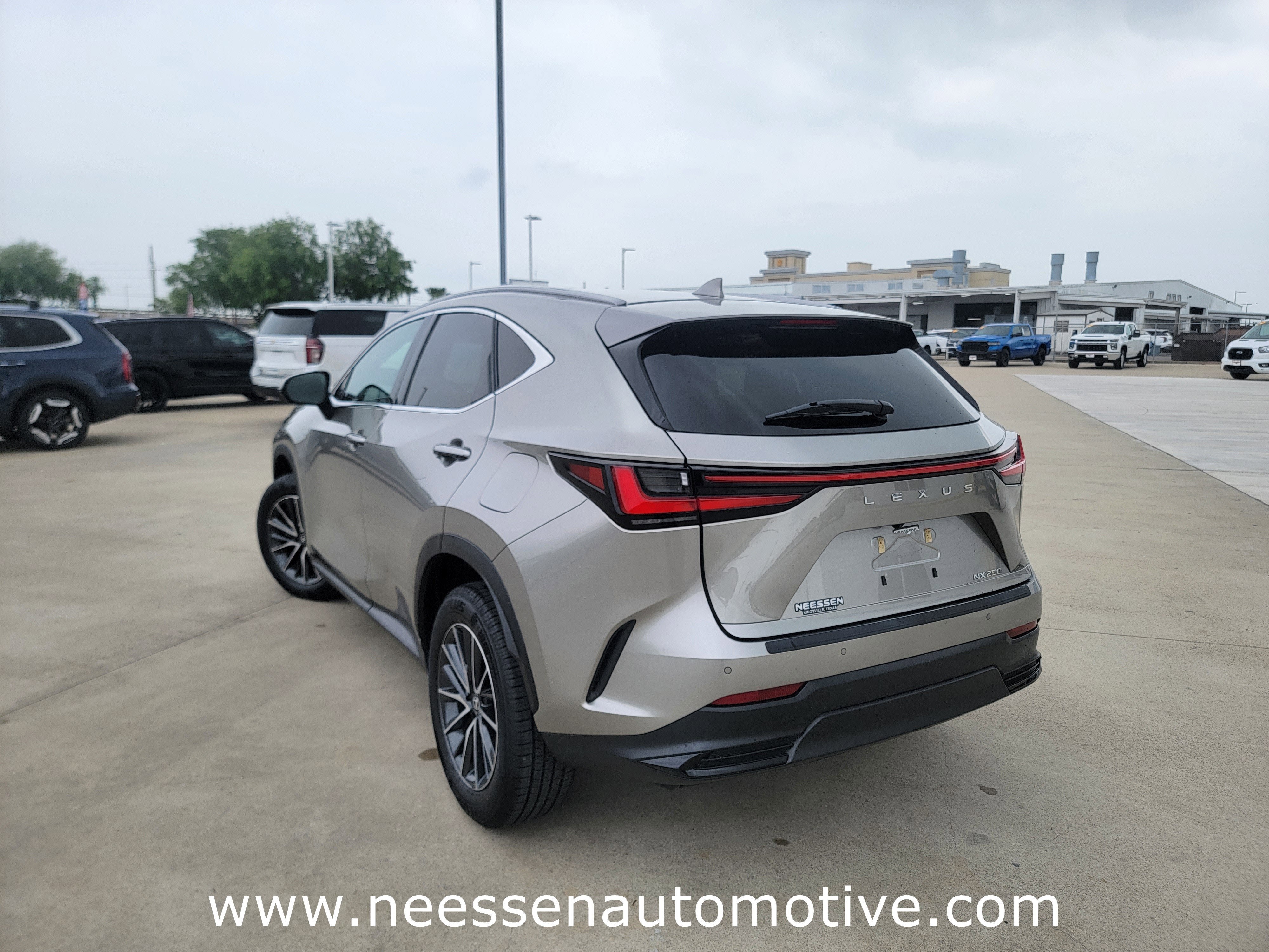 2025 Lexus NX NX 250