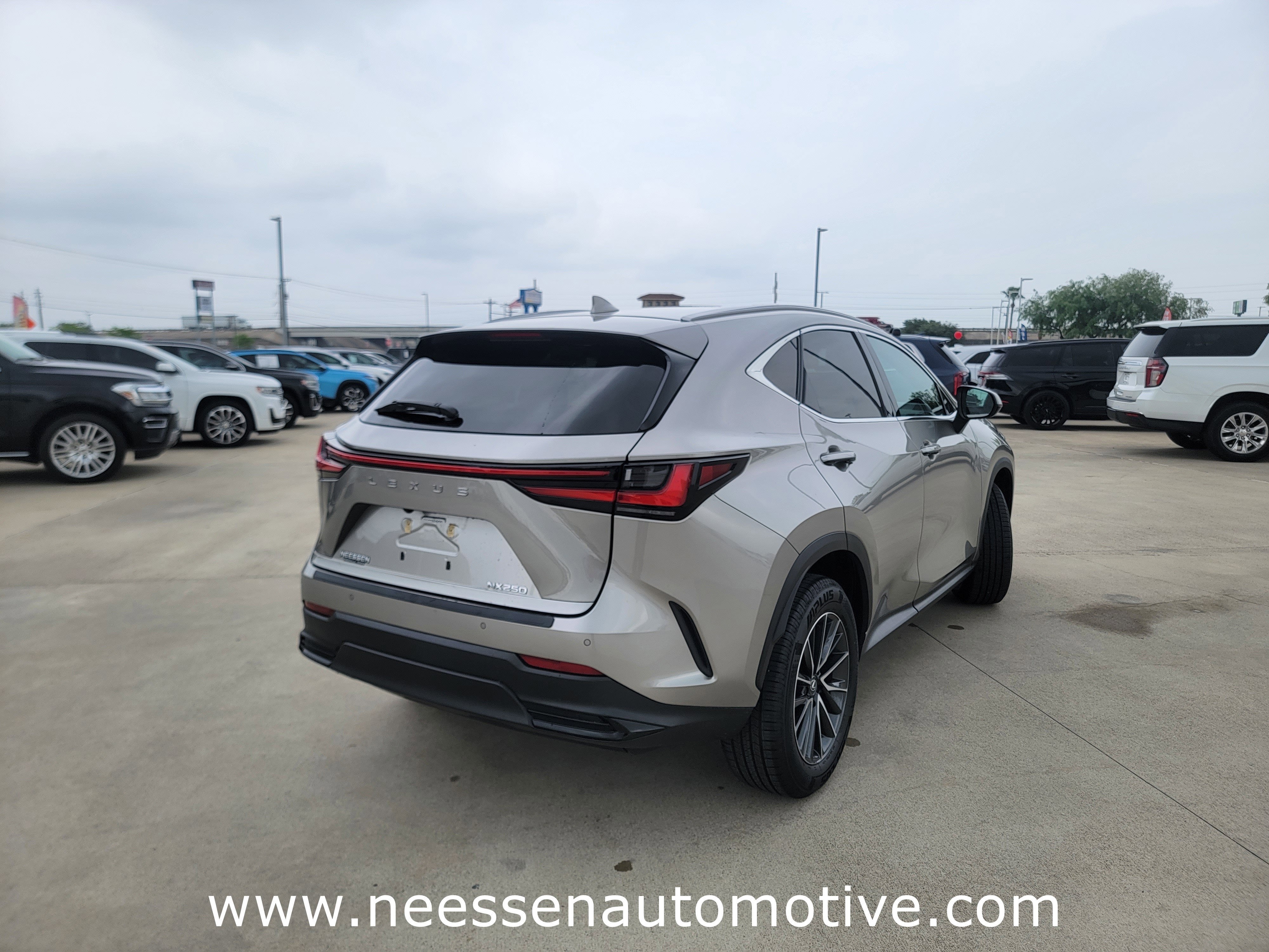 2025 Lexus NX NX 250